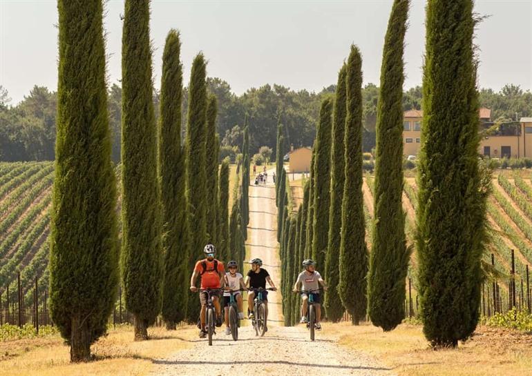 Boek jouw e-bike-tour door de Val d'Orcia