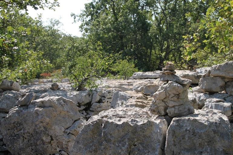 Bois de Païolive in de Ardèche