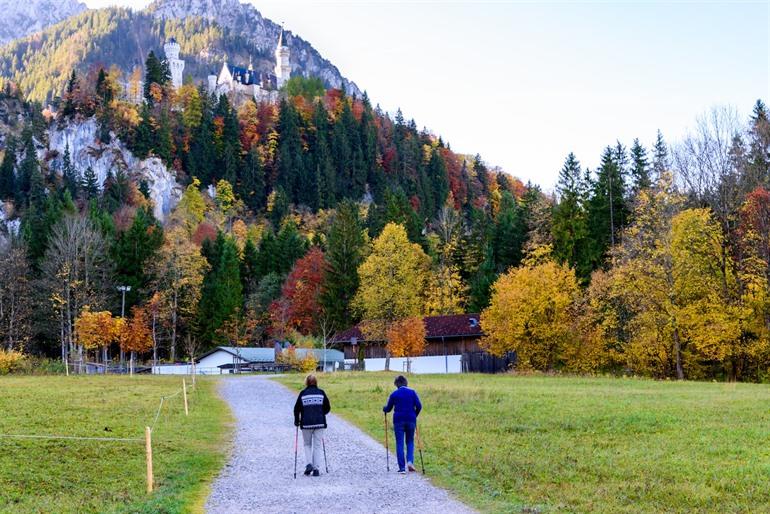 Bosgebied & omgeving 