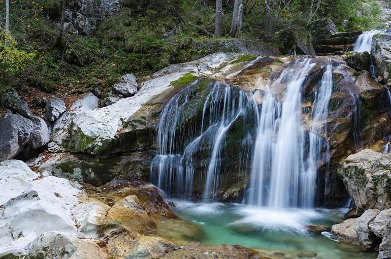 Bosgebied & omgeving 