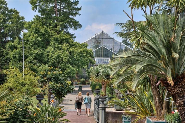 Botanische tuin, Hortus Botanicus Leiden