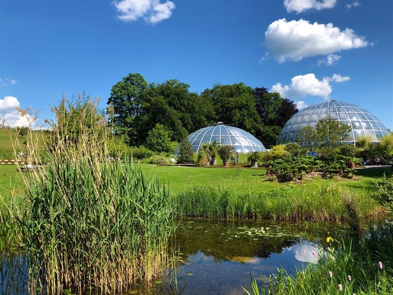 Botanische tuin Zürich