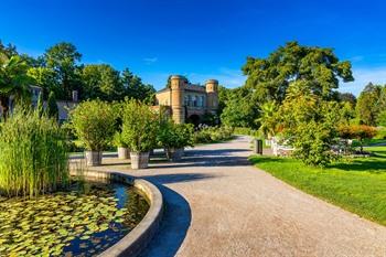 Botanischer Garten Karlsruhe, Zwarte Woud