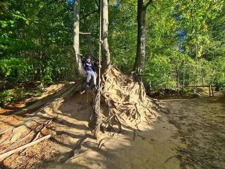 Brakelbos aan D'Hoppe (La Houppe)