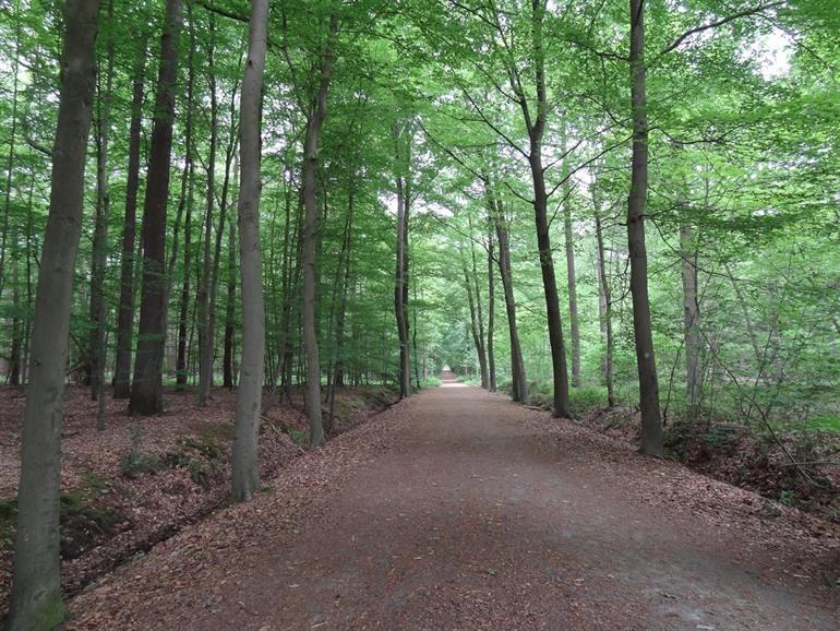 Buggenhoutbos, Scheldeland