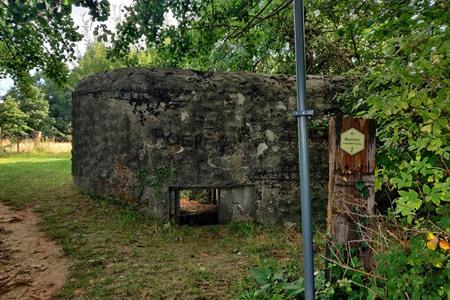 Op wandel tussen de bunkers van Oosterzele: wandelroute over knuppelpaden en weidse akkers