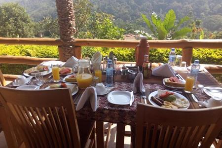 Bwindi Forest Lodge boeken 