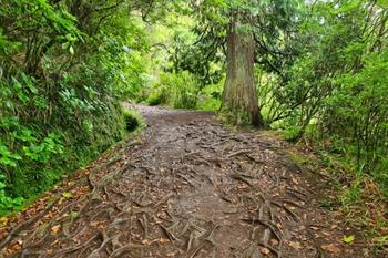 Caldeirão Verde PR9 wandeling