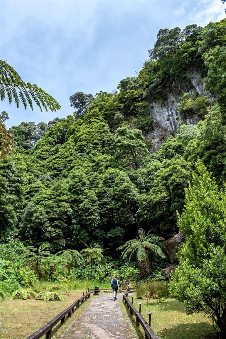 Caldeira Velha, Sao Miguel