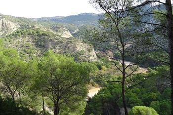 caminito del rey