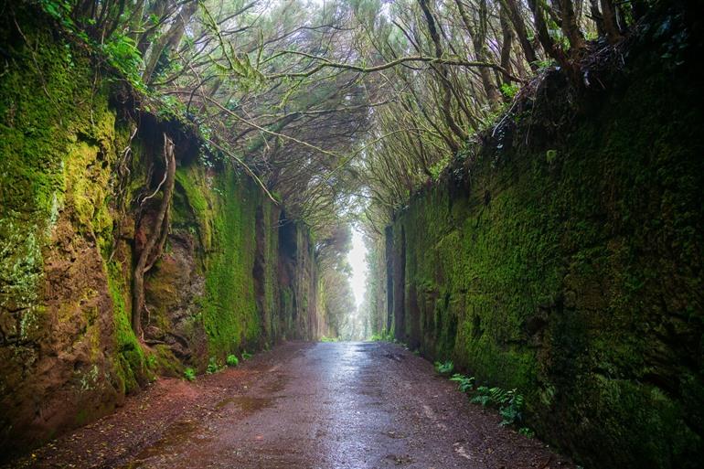 Camino viejo al Pico del Inglés, Tenerife