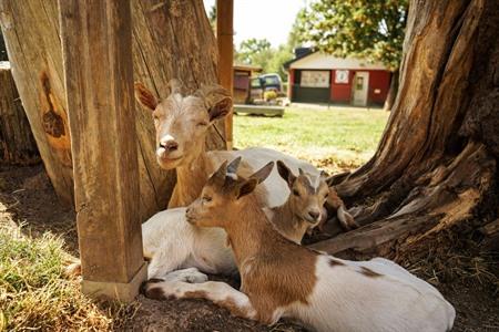 Camping Hohenbusch boeken