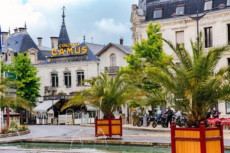 Camus Cognac