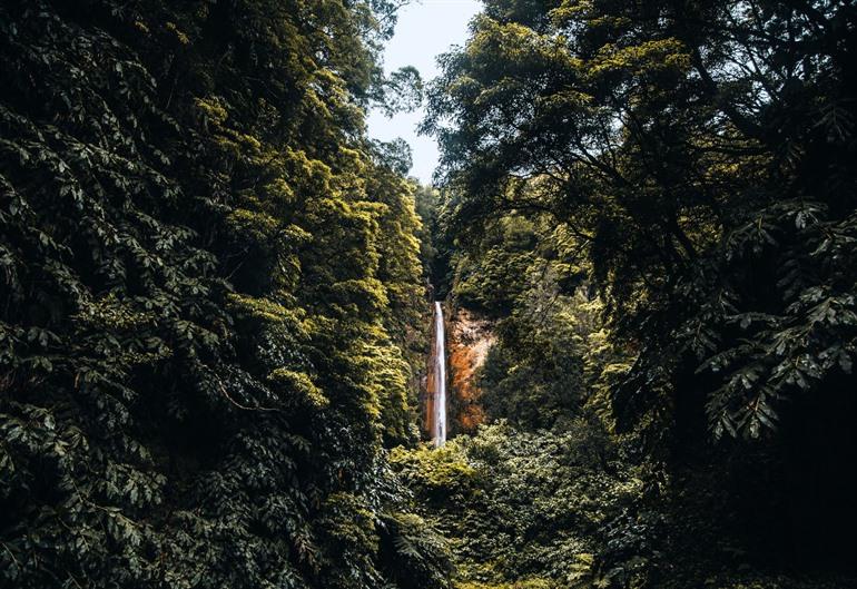Cascata da Ribeira Quente, Sao Miguel