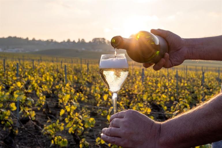 Champagne proeven in Cramant, Cote des Blancs met de zonsondergang op achtergrond