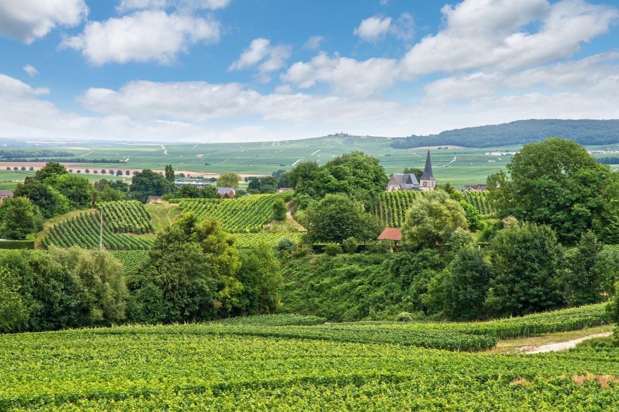 Champagnestreek bezoeken met de auto? Tips & info over de Champagne regio