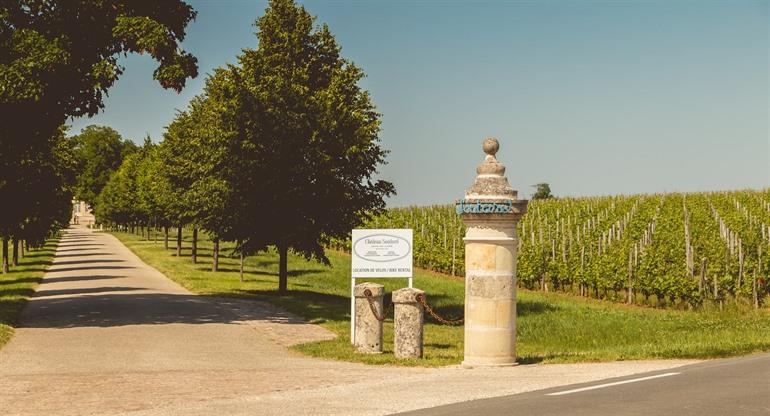 Chateau Soutard, Bordeaux