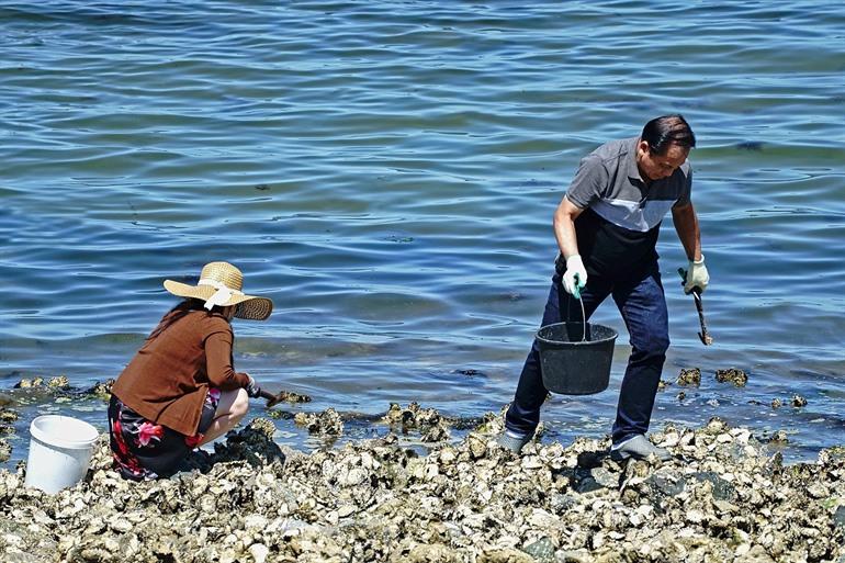 Colijnsplaat in Zeeland