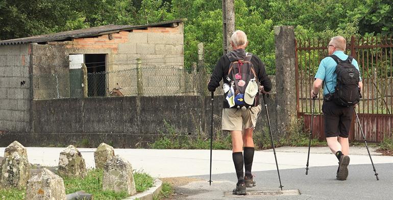 Compostela wandeltocht