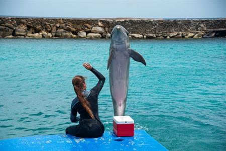 Curaçao Sea Aquarium, ABC-eilanden