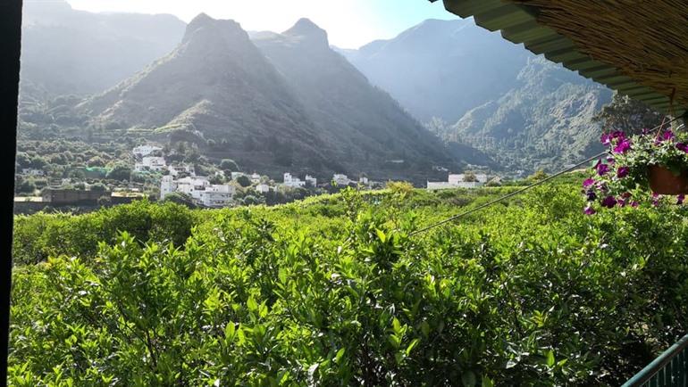 Dagtour langs enkele hoogtepunten van het noorden van Gran Canaria