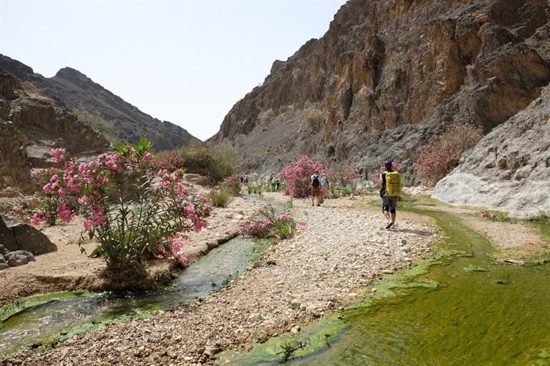 Dana Trail in het Biosfeerreservaat Dana, Jordanië