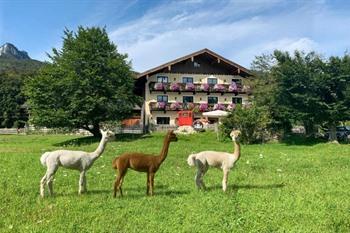 Das Franzl - Bett & Brot boeken