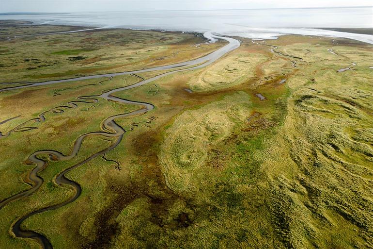 De Boschplaat, Terschelling