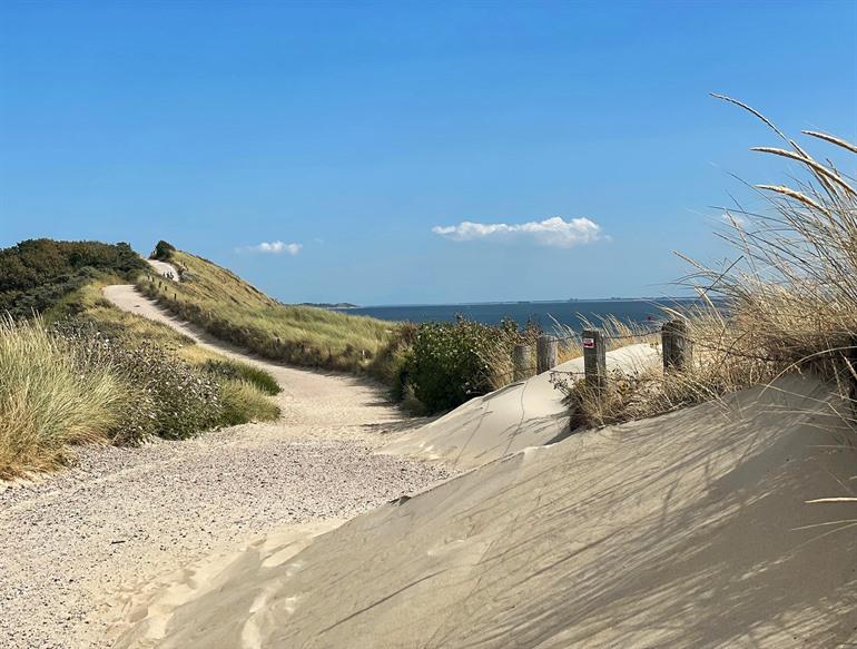 De duinen van Zoutelande