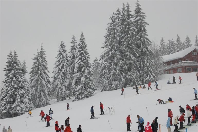 De Feldberg in het Zwarte Woud