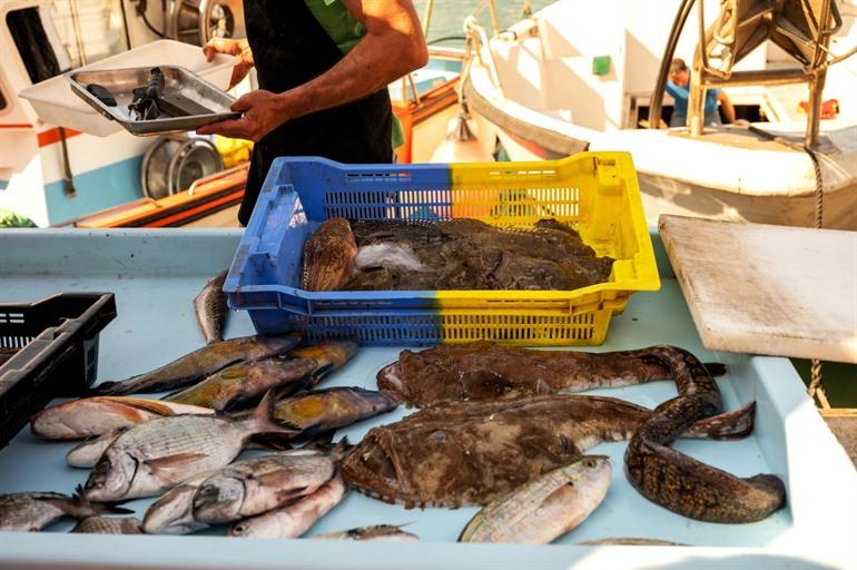 De haven van Cassis (Port de Cassis)