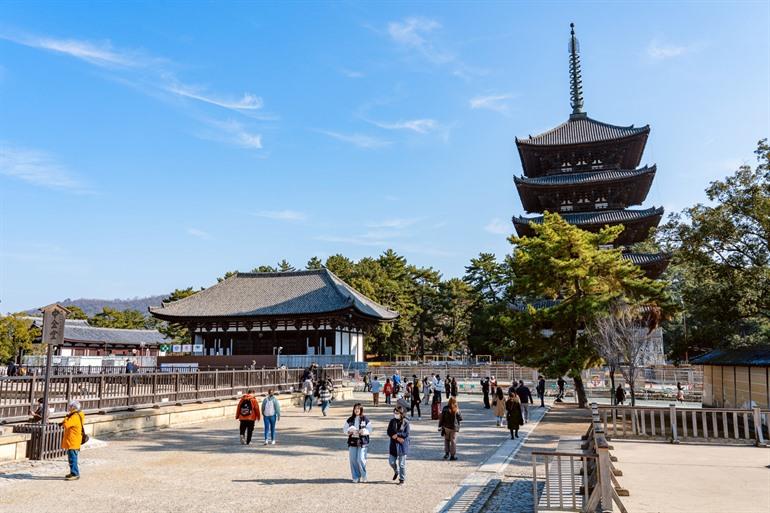 de iconische vijf verdiepingen tellende pagode bij Kofuku-ji