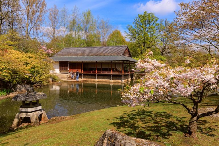 De Japanse tuin in Hasselt