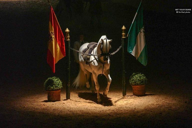 De Koninlijke Ruiterschool & paardenshow in Jerez de la Frontera