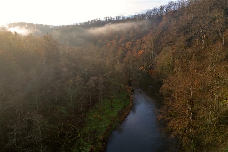 De Lesse stroomt tussen de bomen