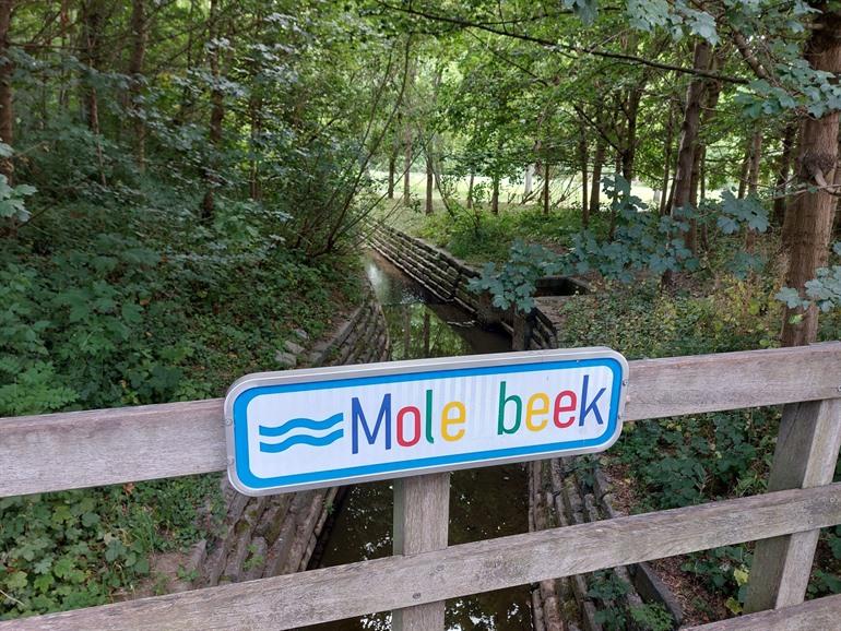 De Molenbeek, Brussel