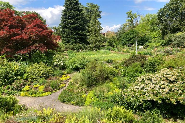 De oude botanische tuin van Göttingen