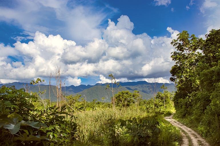 De Peruaanse jungle in de omgeving van Tingo María
