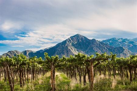 De prachtige landschappen in Cafayate