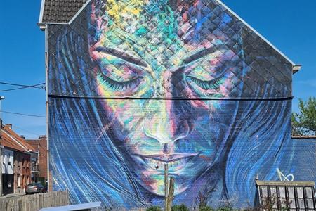 Street-art wandelroute Roeselare: Wandel langs de mooiste muurschilderingen + kaartje