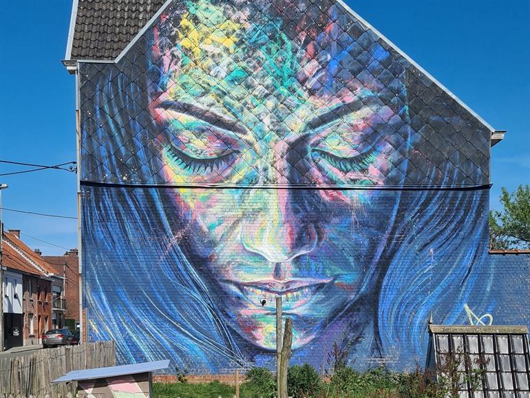 De Slapende vrouw - David Walker in Roeselare