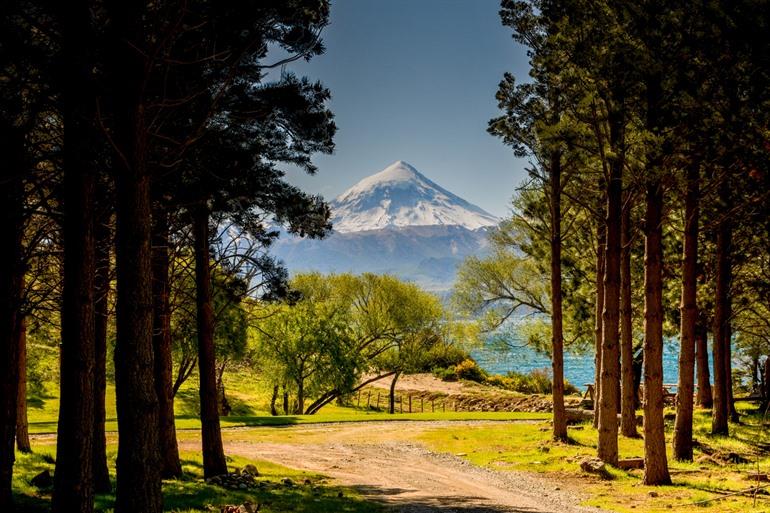 De top van de vulkaan tussen de bomen