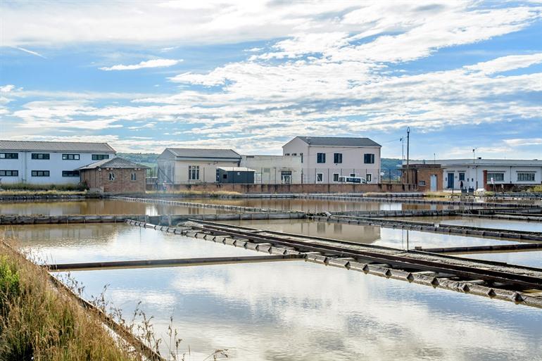 De zoutpannen van Piran bezoeken, Slovenië
