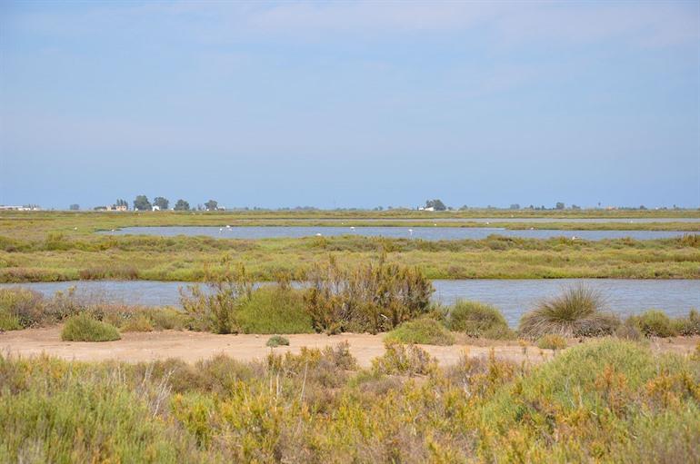 Delta de l'Ebre in Tarragona, Catalonië