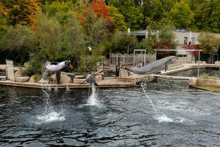 Dierentuin in Neurenberg