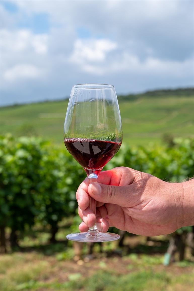 Domaine de la Romanée-Conti bij Vosne-Romanée