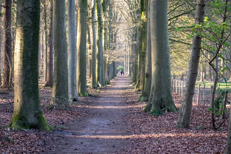 Domein Beisbroek in het Brugse Ommeland
