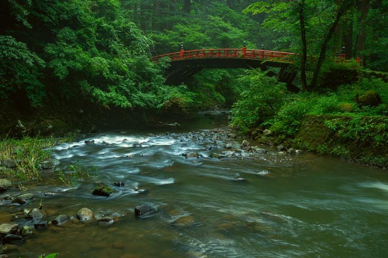 Door de bossen in Tsuruoka