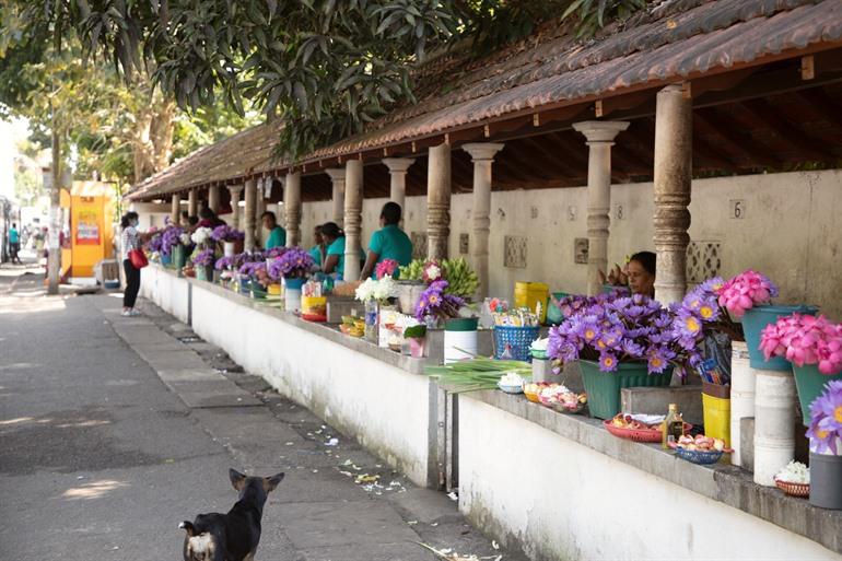 Door de straten in Colombo