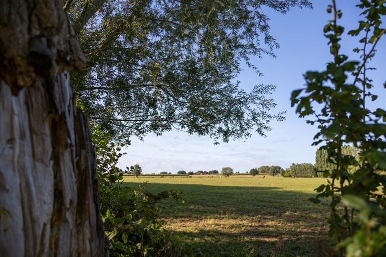 Door de velden over het knuppelpad, Oosterzele
